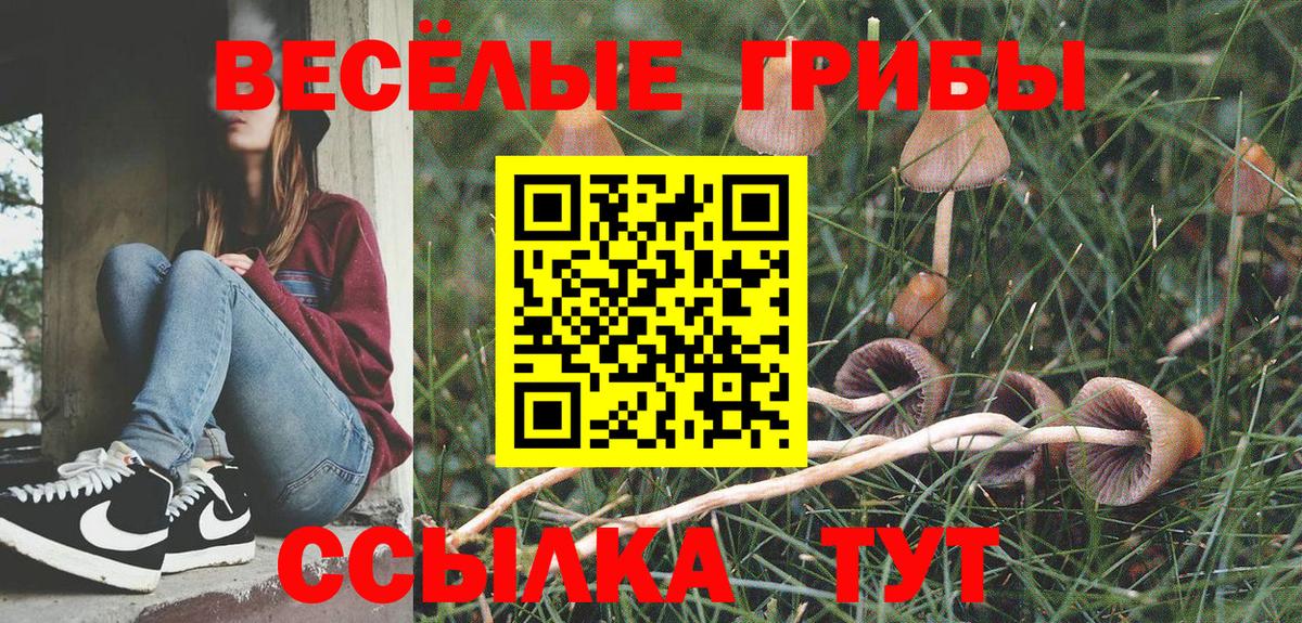 Псилоцибиновые грибы Psilocybe Михайловск